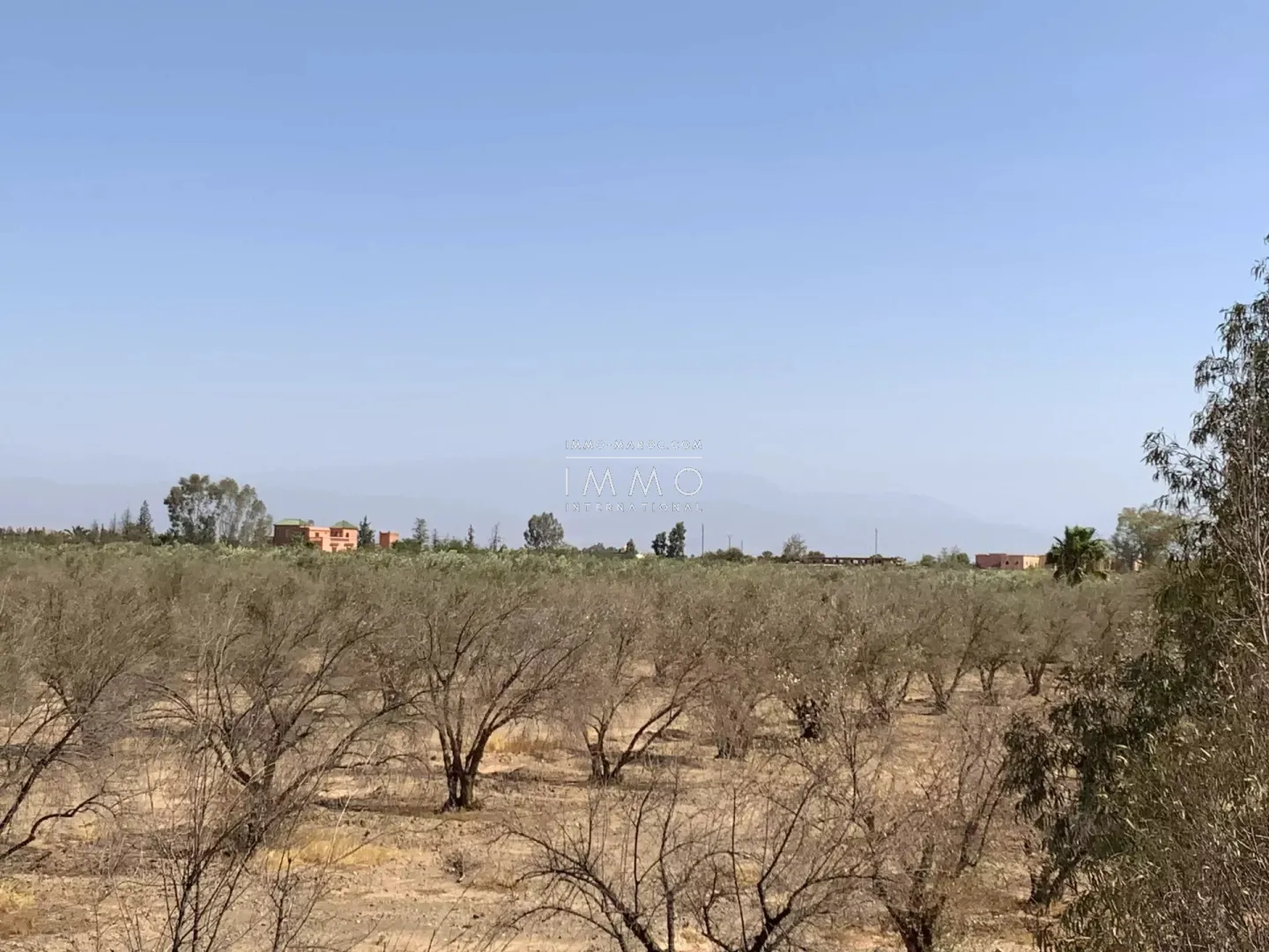 Terreno 1 hectárea route de fès