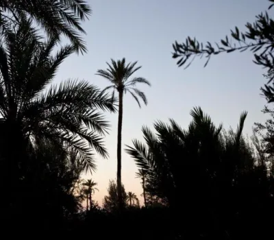 sale Apartment-Marrakech