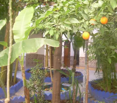 Riad en venta en Marrakech Medina Bab Doukkala Otros sectores
