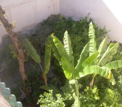 Venta en Marrakech Riad Otros sectores Medina Bab Doukkala