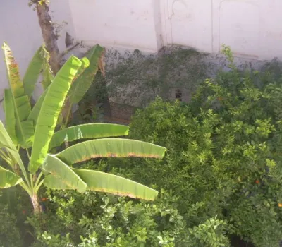 Venta en Marrakech Riad Otros sectores Medina Bab Doukkala