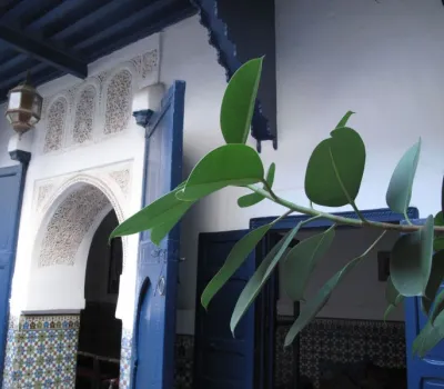 Vender Riad hostal de Marrakech a menos de 10 minutos de la Place Sidi Mimoune