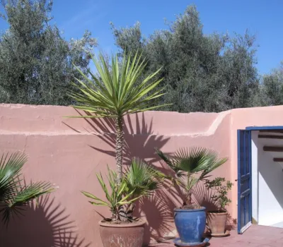 compra riad hostal de Marrakech a menos de 10 minutos de la Place Sidi Mimoune
