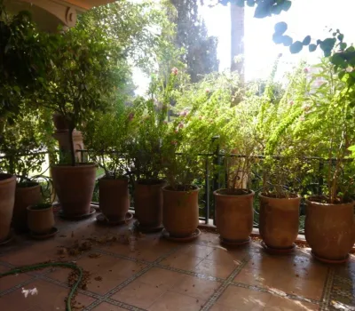 Apartamento contemporáneo de Marrakech Hivernage