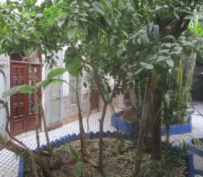 Otros sectores compran Riad Marrakech Medina Bab Doukkala