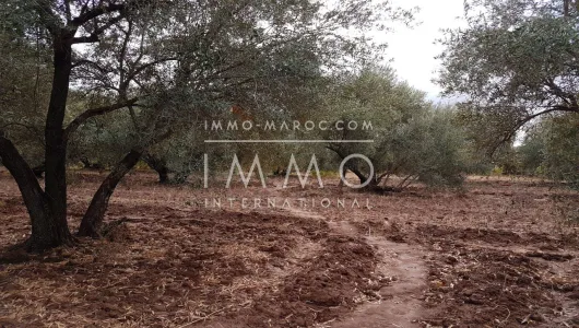 Terrain à vendre Terrain villa Marrakech Extérieur Route Amizmiz