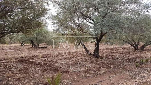 Vente terrain Terrain villa Marrakech Extérieur Route Amizmiz