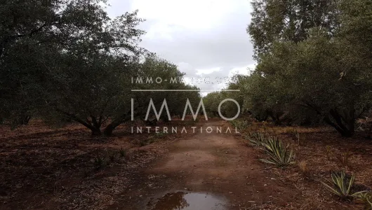 achat terrain Terrain villa Marrakech Extérieur Route Fes