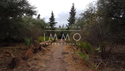 compra de tierras de cultivo Marrakech Exterior Ruta Sidi Abdallah Ghiat