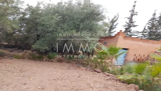 compra de tierras de cultivo Marrakech Exterior Ruta Sidi Abdallah Ghiat