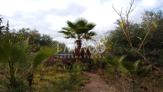 compra de tierras de cultivo Marrakech Exterior Ruta Sidi Abdallah Ghiat