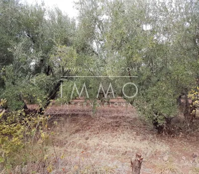 Terreno en venta Marrakech exterior del camino de campo Sidi Abdallah Ghiat