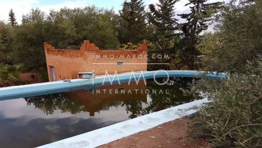 Terreno en venta Marrakech exterior del camino de campo Sidi Abdallah Ghiat