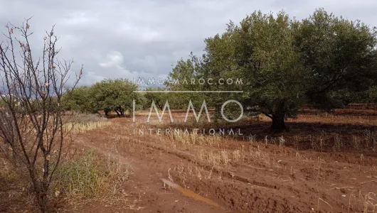 Terreno en venta Marrakech exterior del camino de campo Sidi Abdallah Ghiat