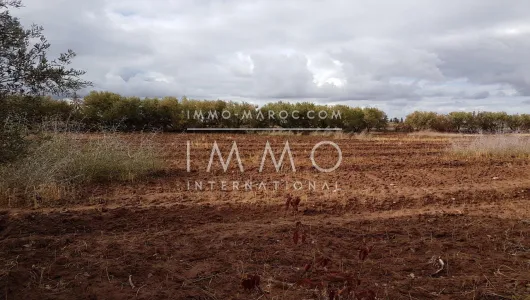 Venta Marrakech exterior del camino de campo Sidi Abdallah Ghiat