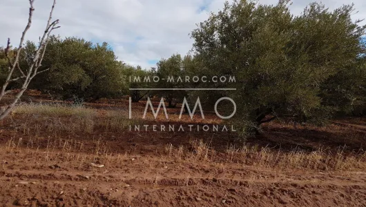 Terreno en venta Marrakech exterior del camino de campo Sidi Abdallah Ghiat