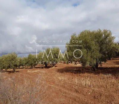 Terreno en venta Marrakech exterior del camino de campo Sidi Abdallah Ghiat