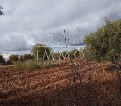 Terreno en venta Marrakech exterior del camino de campo Sidi Abdallah Ghiat