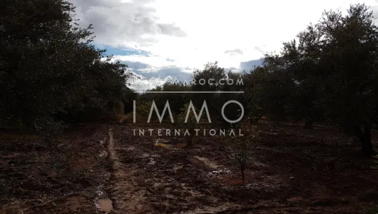 Venta Marrakech exterior del camino de campo Sidi Abdallah Ghiat