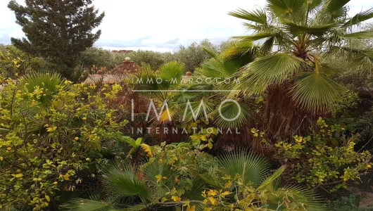 Terreno en venta Marrakech exterior del camino de campo Sidi Abdallah Ghiat