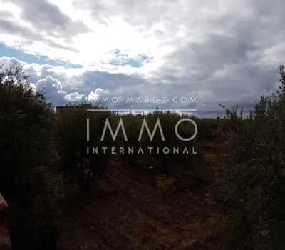 compra de tierras de cultivo Marrakech Exterior Ruta Sidi Abdallah Ghiat