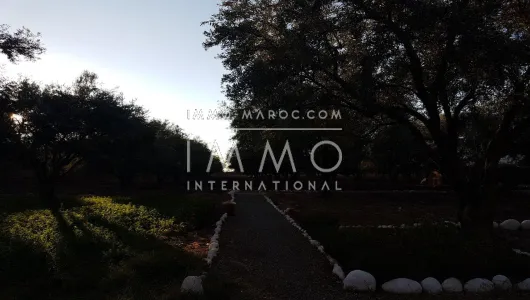 purchase ground Farm Marrakech Exterior Road Sidi Abdellah Ghiat