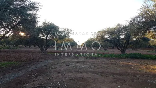 purchase ground Farm Marrakech Exterior Road Sidi Abdellah Ghiat
