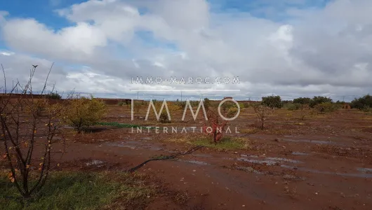 Sale ground Ground villa Marrakech Exterior Route Ouarzazate