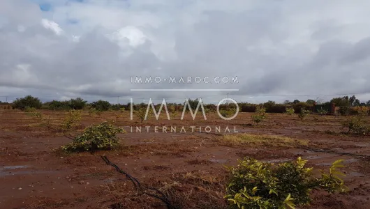 purchase property Land villa Marrakech Exterior Route Ouarzazate