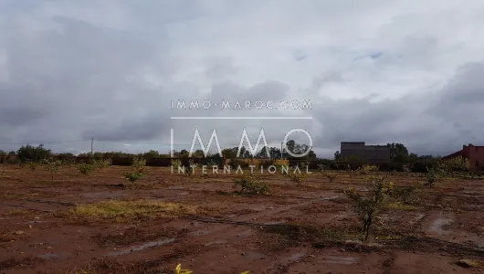 Land for sale Terrain villa Marrakech Exterior Route Ouarzazate
