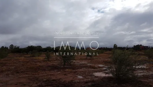 Land for sale Terrain villa Marrakech Exterior Route Ouarzazate
