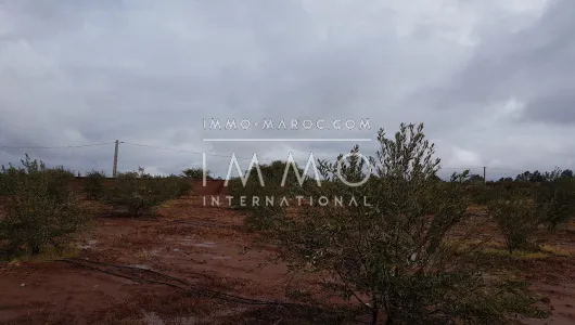 purchase property Land villa Marrakech Exterior Route Ouarzazate