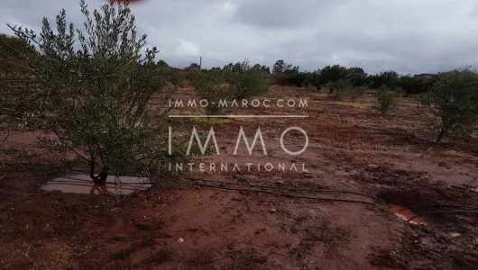 purchase property Land villa Marrakech Exterior Route Ouarzazate