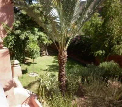 Alquiler Apartamento Marrakech