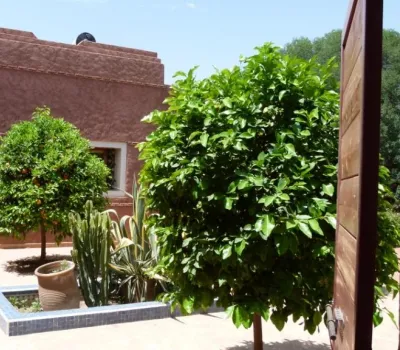House for rent Contemporary Marrakech Exterior Route Amizmiz