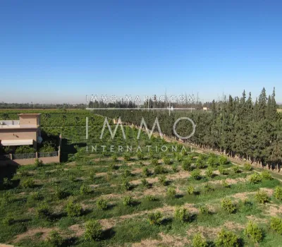 ubicación-villa-Marrakech