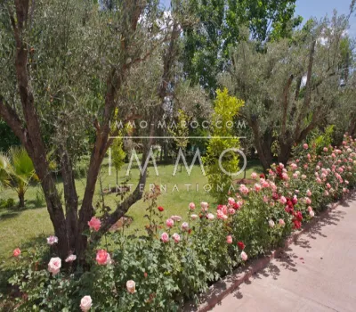 House for rent Moroccan purified Marrakech Exterior Road Ouarzazate