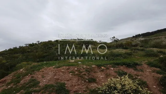 purchase plot Land villa Marrakech Exterior Route Ourika