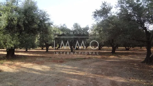 Villa for sale Land villa Marrakech Golfs Al Maaden