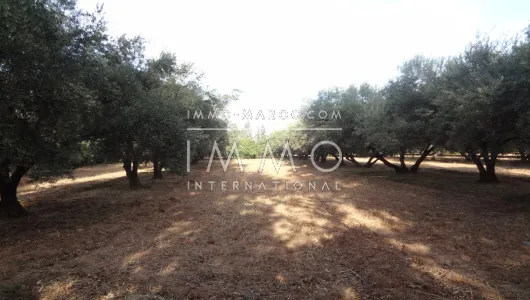 purchase property Land villa Marrakech Golfs Al Maaden