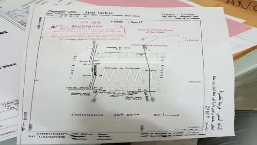 Land for sale Terrain villa Marrakech Palmeraie Bab Atlas