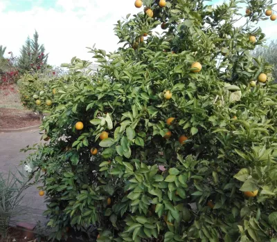 Casa en venta Marrakech Marruecos