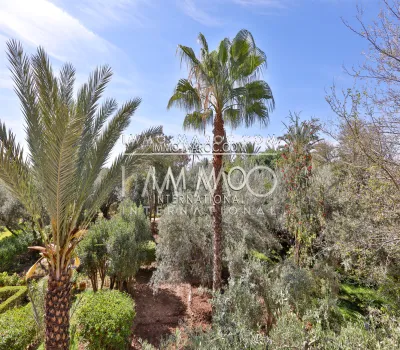 Venta villa marroquí purificada agencia inmobiliaria de lujo marrakech Marrakech Palmeraie