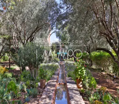 Villa en venta en Marrakech, propiedades de lujo en Marrakech Palmeraie