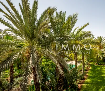 Propiedad de lujo en venta Marrakech Palmeraie