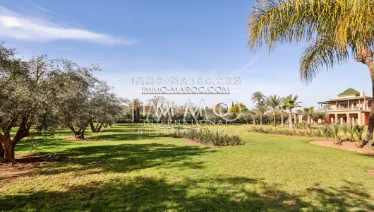 buy house Morocco high end Marrakech Palmeraie