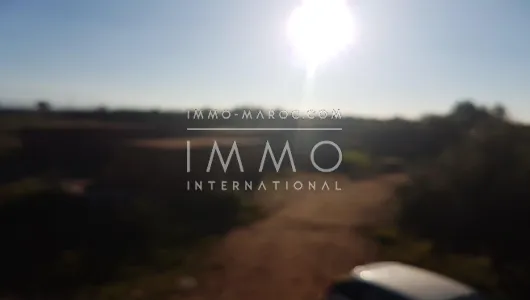 Sell ​​ground Farm Marrakech Exterior Road Sidi Abdellah Ghiat