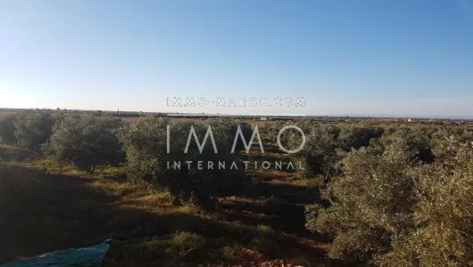 Sell ​​ground Farm Marrakech Exterior Road Sidi Abdellah Ghiat