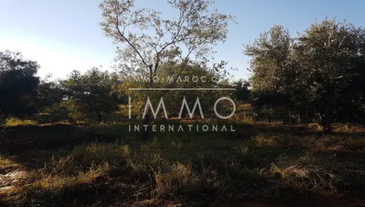 purchase ground Farm Marrakech Exterior Road Sidi Abdellah Ghiat