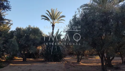 achat terrain Terrain a lotir Marrakech Palmeraie Bab Atlas